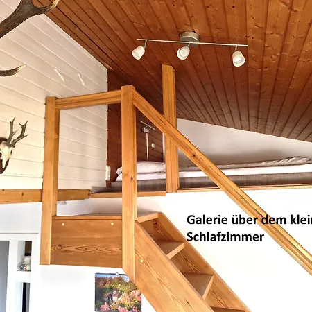 Tannenhoehe Direkt Am Wald Appartamento *