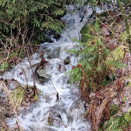 Tannenhoehe Direkt Am Wald Appartamento Schulenberg im Oberharz