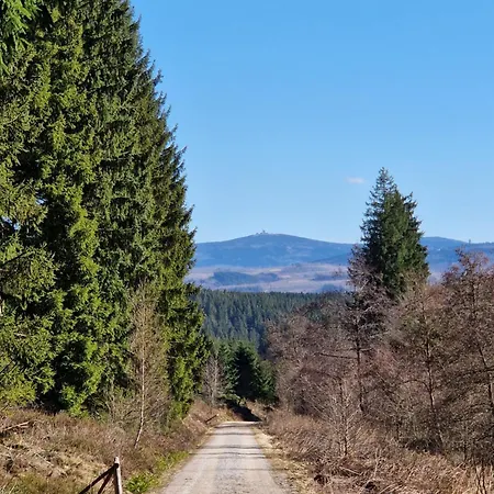 Tannenhoehe Direkt Am Wald