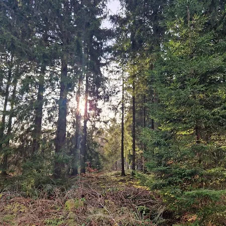 Tannenhoehe Direkt Am Wald Appartamento