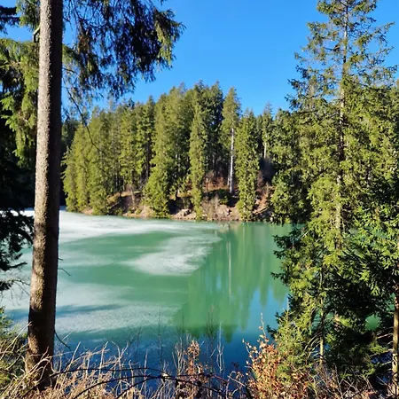 Appartamento Tannenhoehe Direkt Am Wald Schulenberg im Oberharz