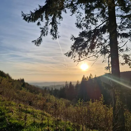 Tannenhoehe Direkt Am Wald